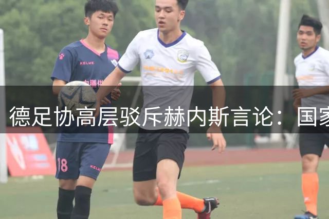 德足协高层驳斥赫内斯言论：国家队主帅任命权不在地方足协